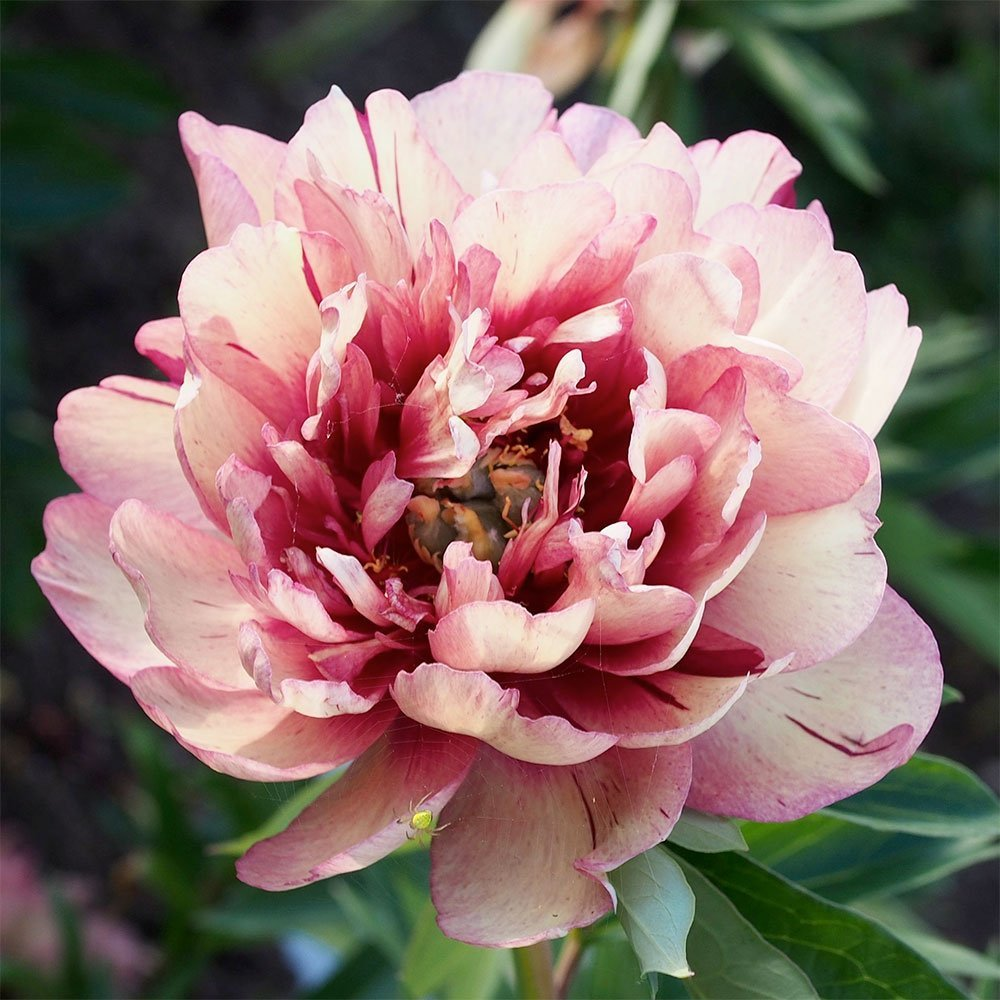 Фото 2