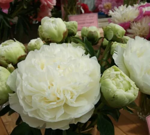 Фото 2