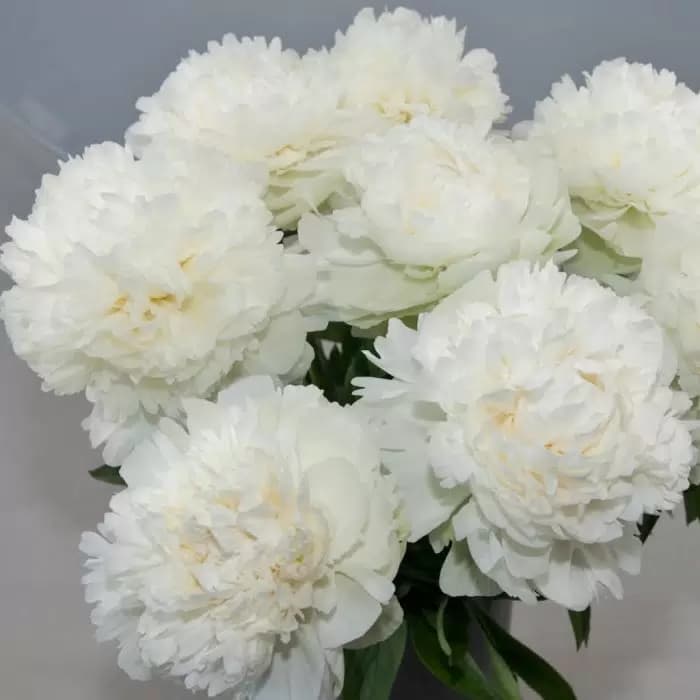 Фото 3
