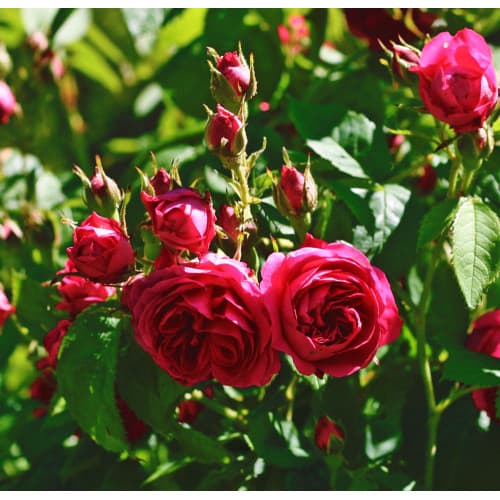 Фото 2