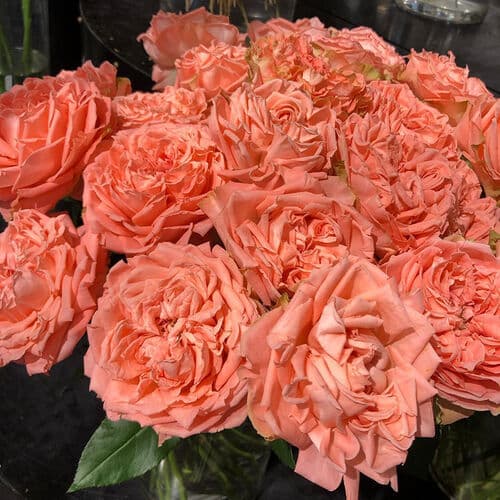 Фото 2