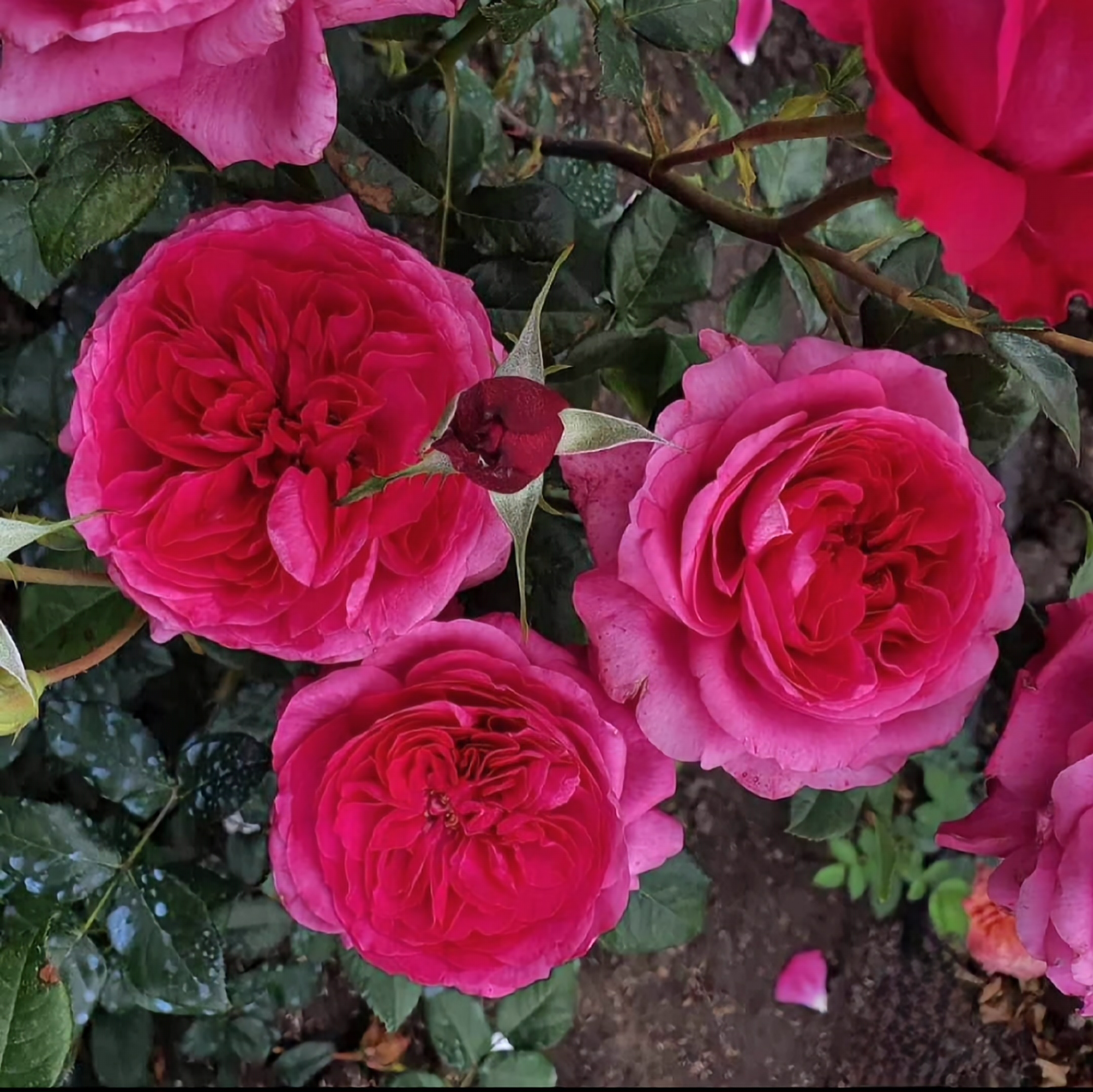 Фото 3