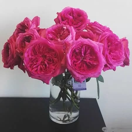 Фото 2