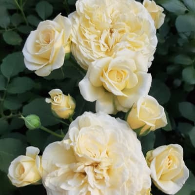 Фото 3