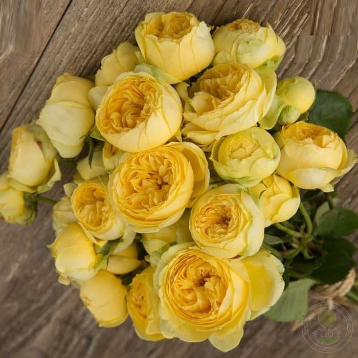 Фото 2