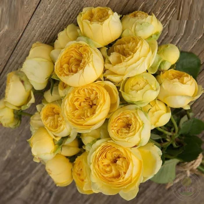 Фото 2