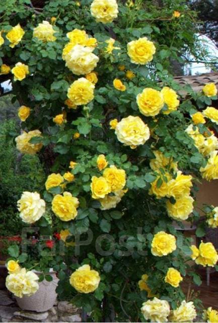 Фото 3