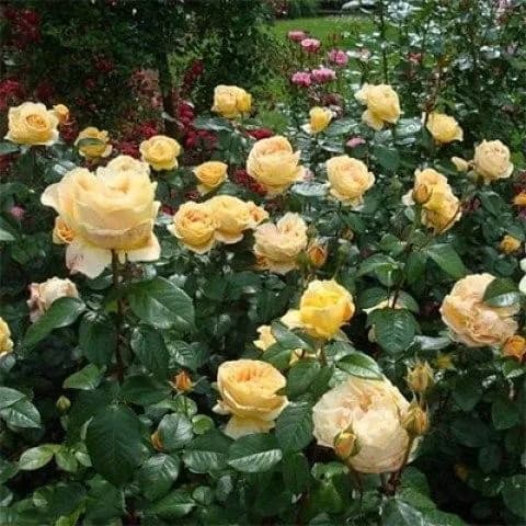 Фото 5