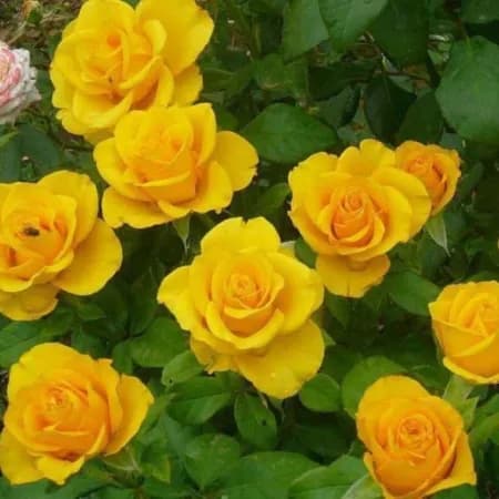 Фото 3