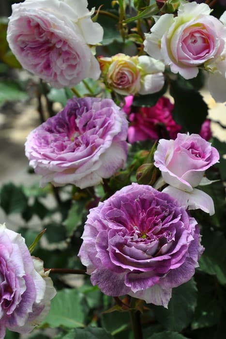 Фото 3