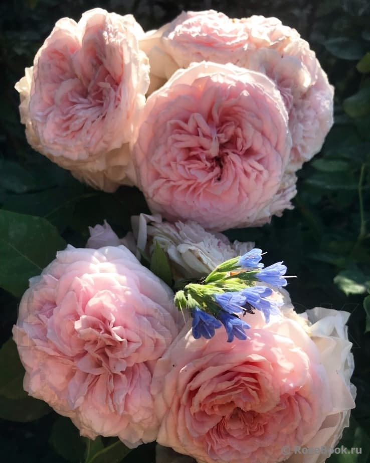 Фото 3