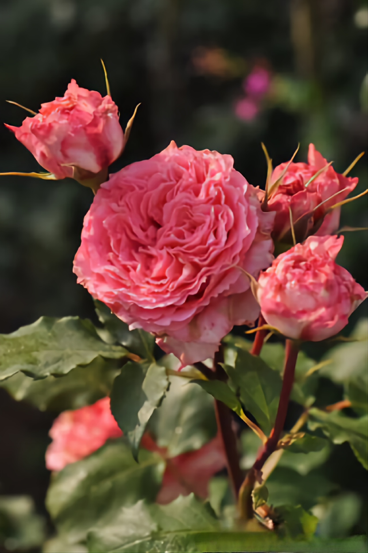 Фото 2