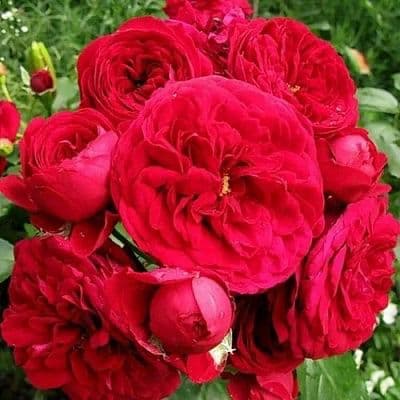 Фото 2