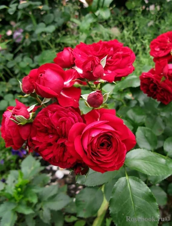 Фото 3