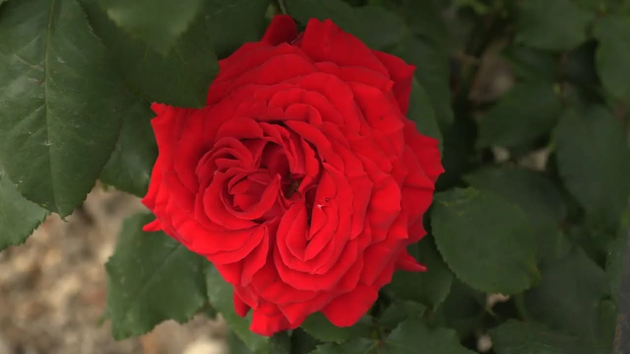 Фото 2