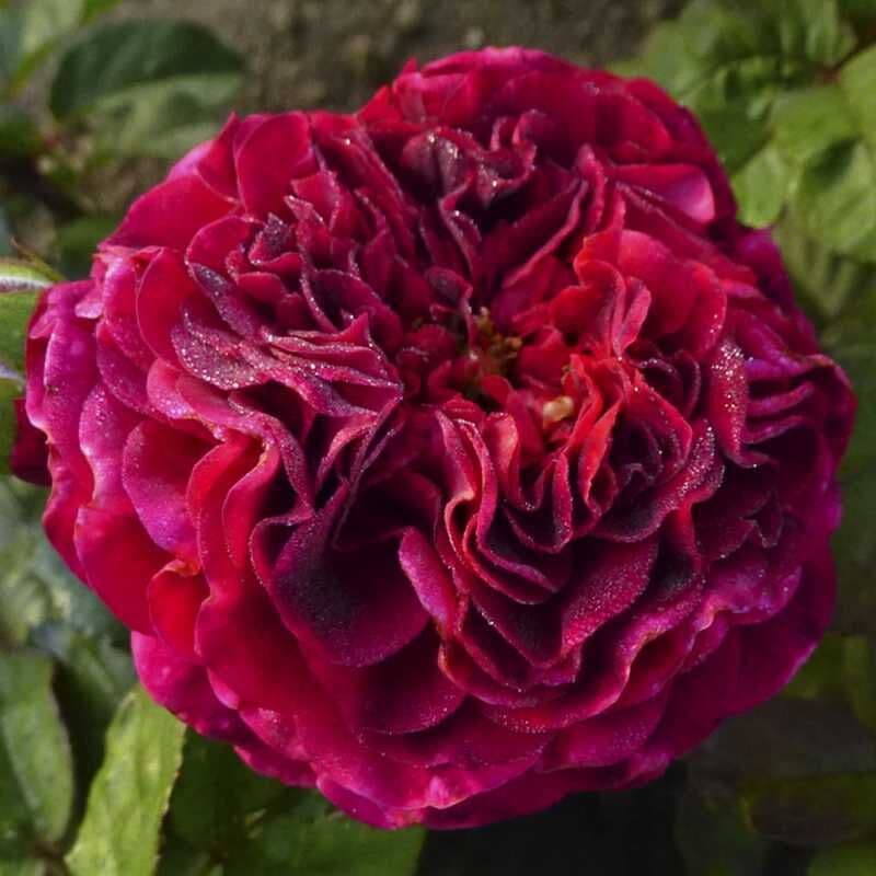 Фото 2