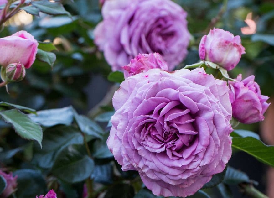 Фото 2