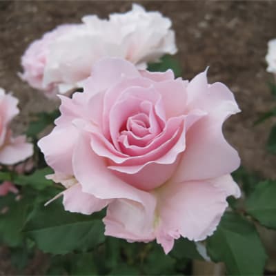 Фото 3