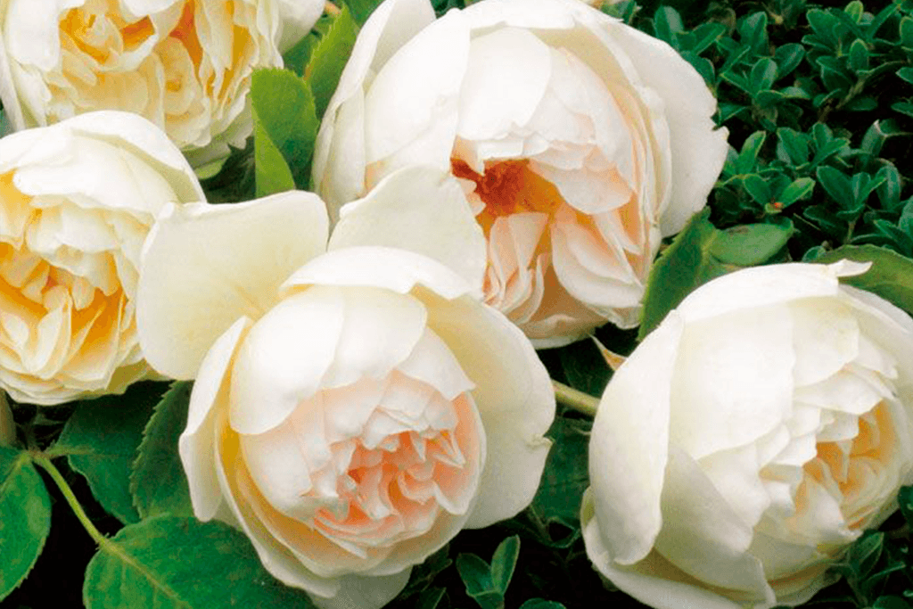 Фото 2