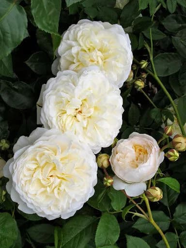Фото 2