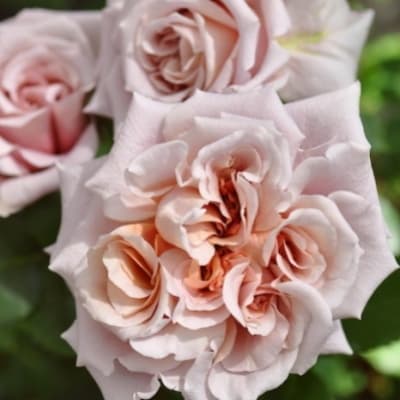 Фото 2