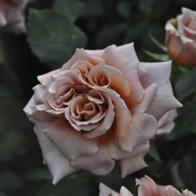 Фото 3