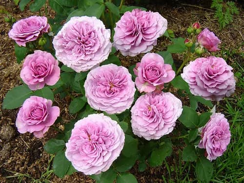 Фото 2