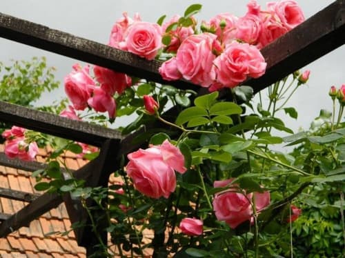 Фото 3