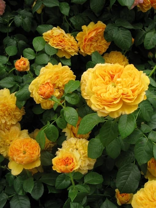 Фото 2