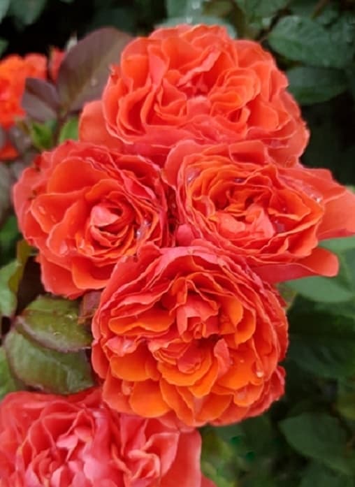 Фото 2
