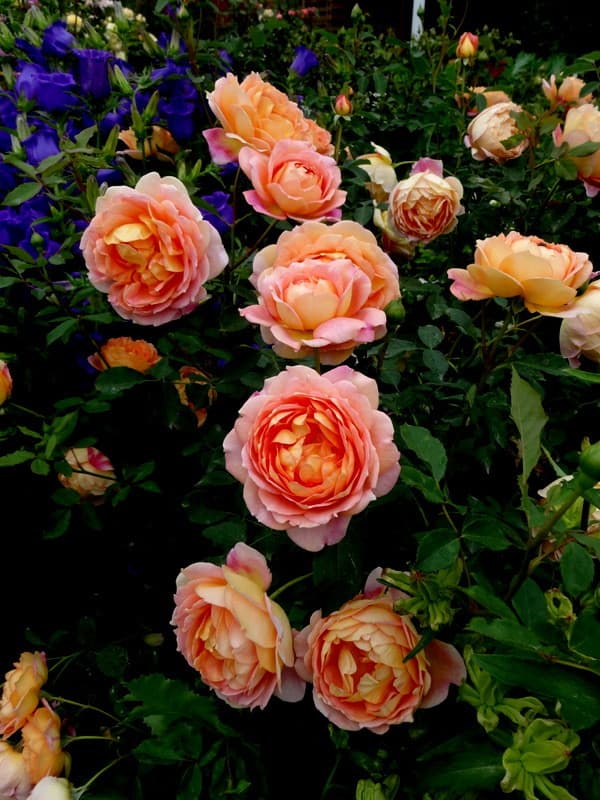 Фото 3