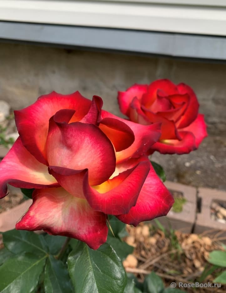 Фото 3