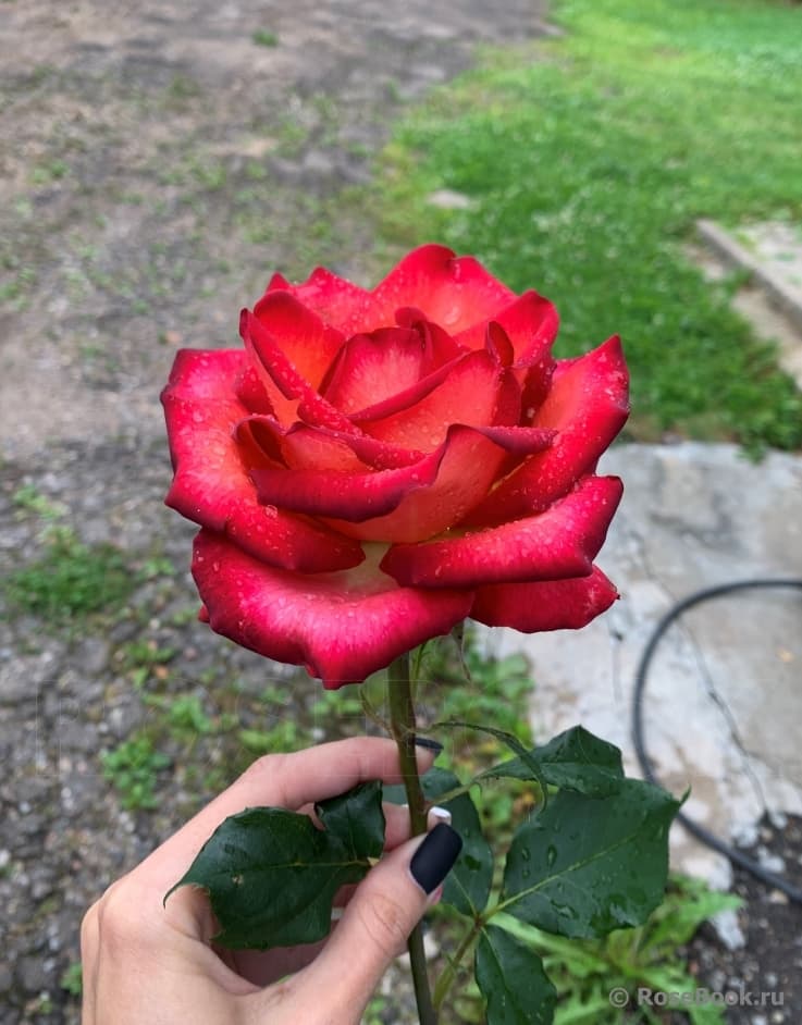 Фото 4