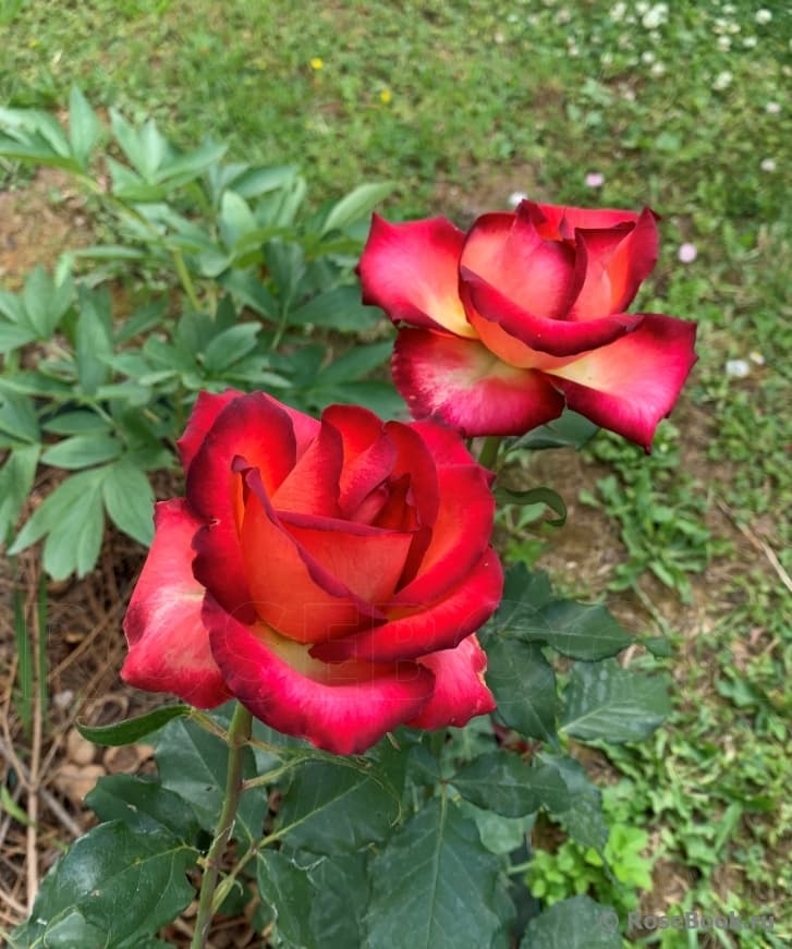 Фото 5