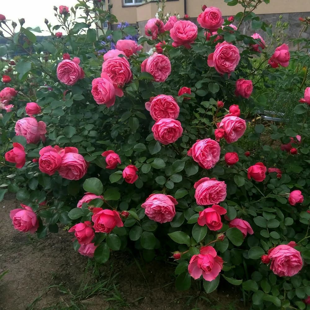 Фото 3