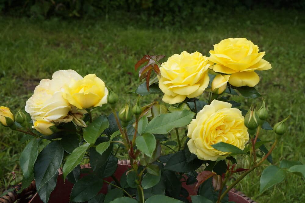 Фото 2