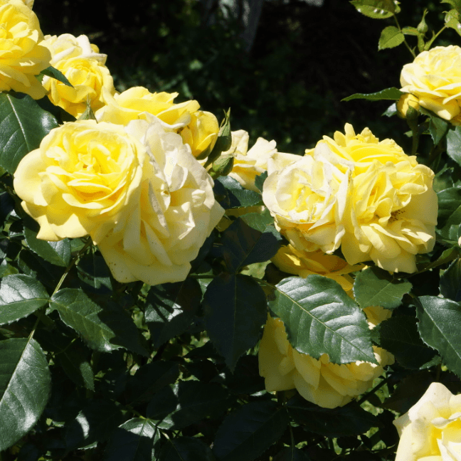 Фото 3