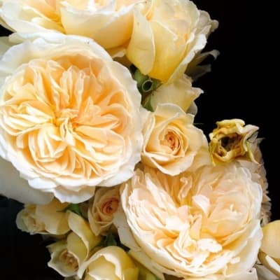 Фото 2