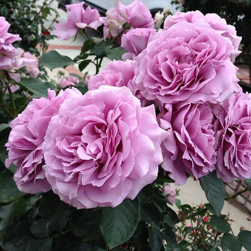 Фото 2