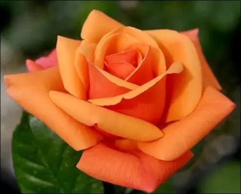 Фото 2