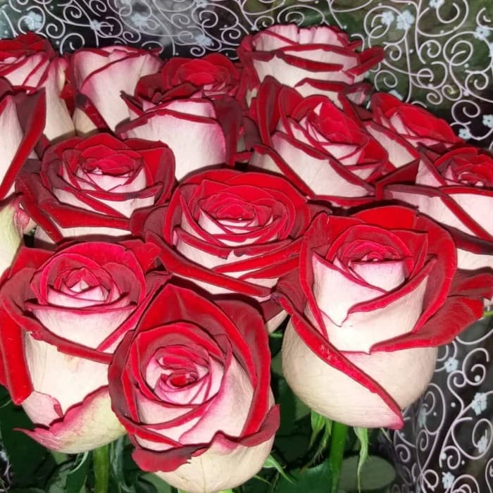 Фото 2