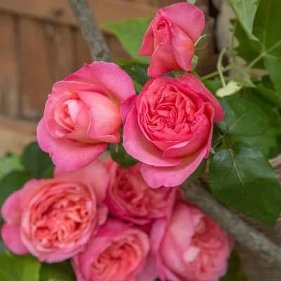 Фото 2