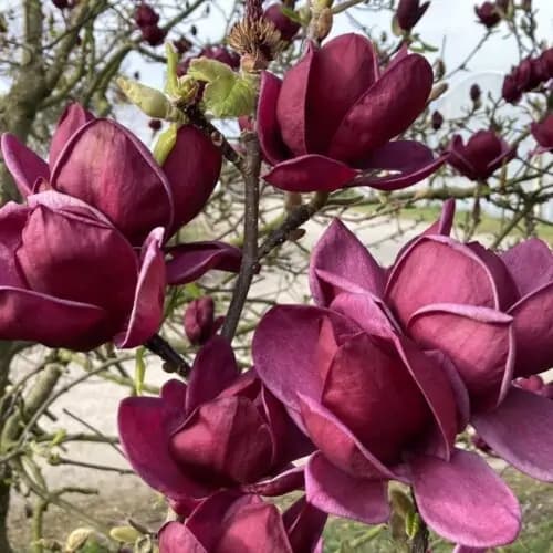 Фото 3
