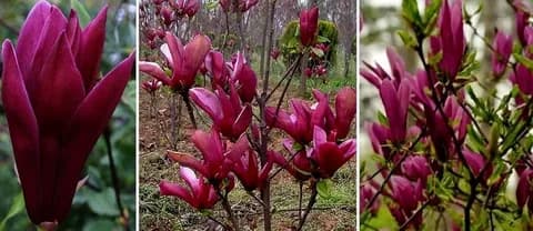 Фото 2