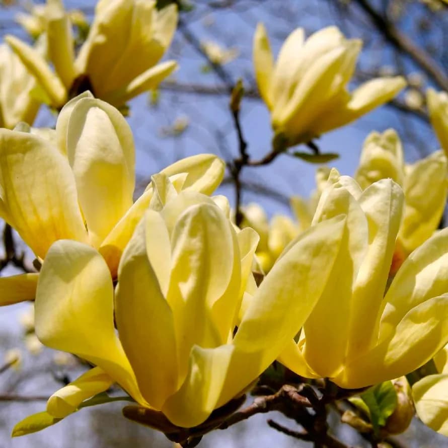 Фото 4