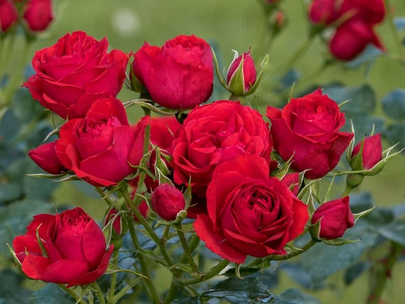 Фото 2