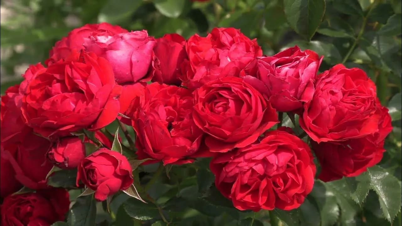Фото 3