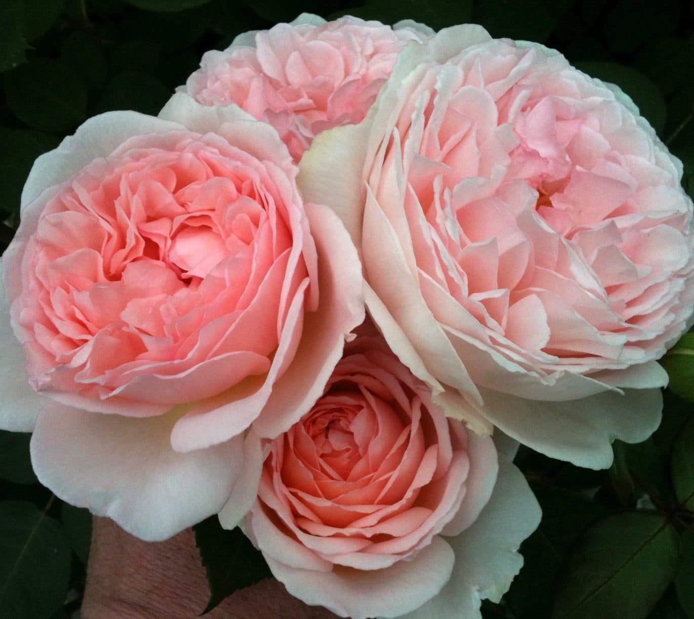 Фото 2