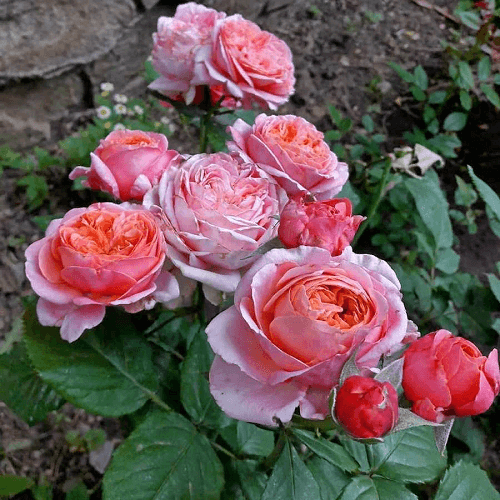 Фото 2