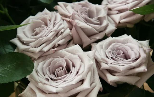 Фото 3